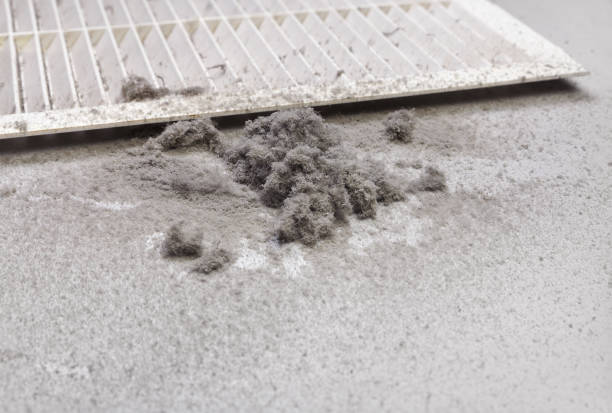 Air Duct Mold Removal in Felton, CA
